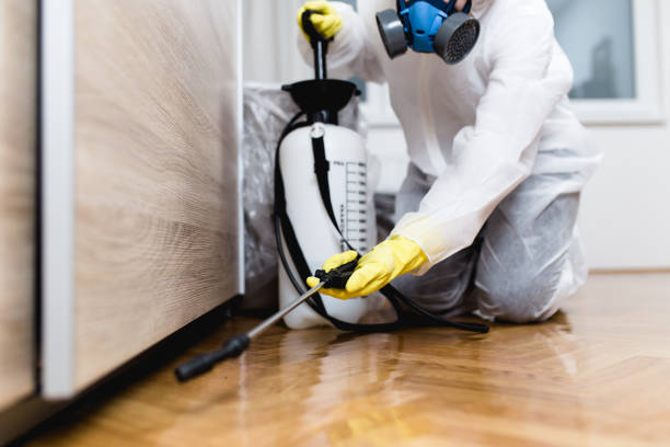 Best Best Pest Control Companies  in Edgewood, IN