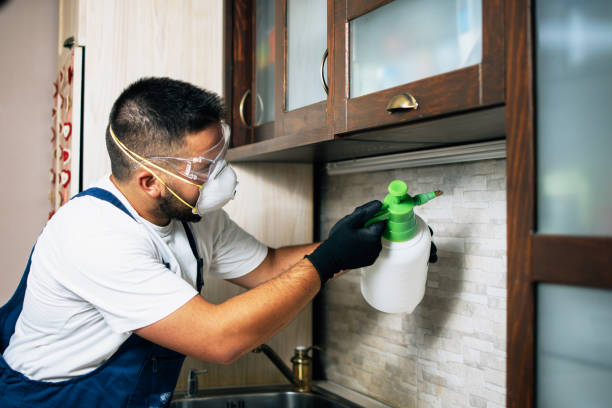 Best Wildlife Control Services  in Edgewood, IN