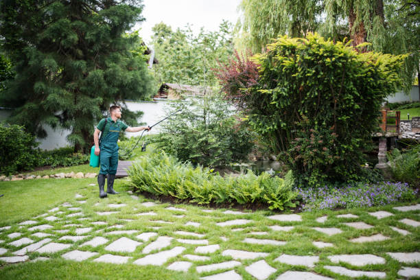 Best Local Pest Control Services  in Edgewood, IN