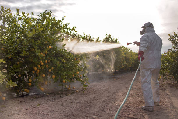 Best Local Pest Control Services  in Edgewood, IN