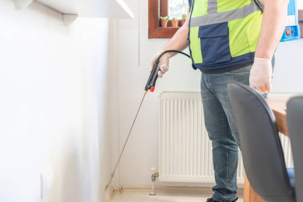 Wasp Removal Services in Edgewood, IN