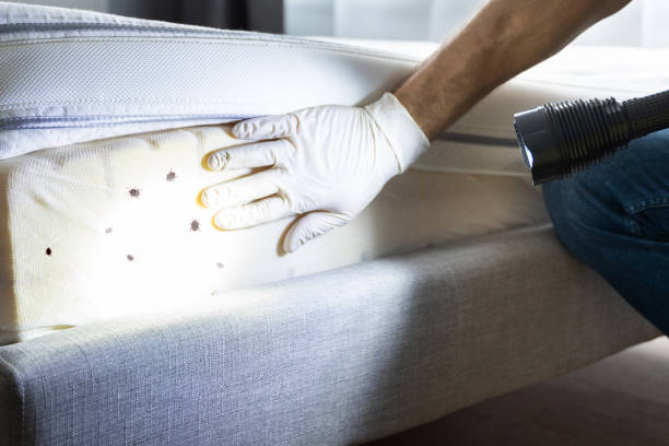 Best Best Pest Control Companies  in Edgewood, IN